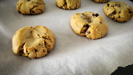 Freshly Baked Golden Chocolate Chip Cookies on cookie sheet – Sweet Dessert Snack