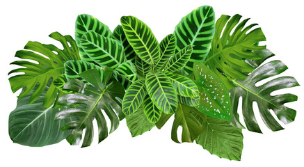 Tropical plant jungle bush arrangement isolated on transparent background for nature, tropical leaves foliage design © just_flowerin