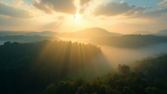 Golden sun rays illuminate the misty forest landscape at sunrise, creating a tranquil scene.