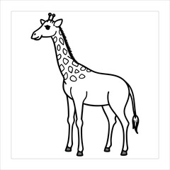 giraffe cartoon illustration