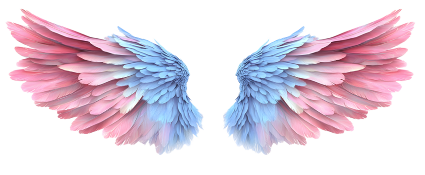 Beautiful realistic symmetrical angel wings. Pink blue, pastel gradient wings with detailed feathers. Generative AI png with transparent background, clipart.