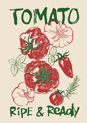 Vector vegetable poster of tomatoes and cherry. Hand-drawn garden harvest sketch. Tasty food illustration for restaurant and cafe interior, veggie market drawing print, fabric or background.