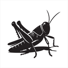 Grasshopper Vector Illustration
