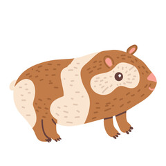 Guinea animal flat vector illustration on white background.