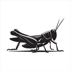 Grasshopper Vector Illustration