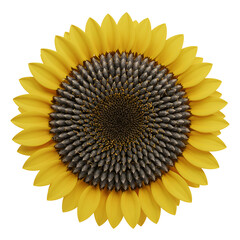 3D Sunflower Head Icon – Raised Seed Pattern & Detailed Petals