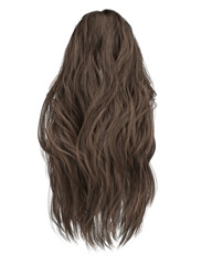 Fototapeta premium 3d render long straight brown hair isolated