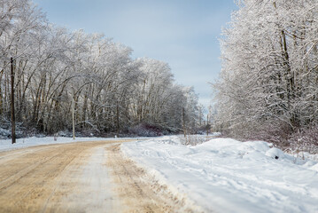 Fototapeta premium Winter landscape - road and trees in snow on a sunny day