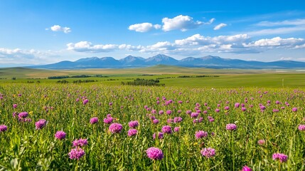 Fototapeta premium Vibrant Wildflower Meadow Stunning Mountain Landscape Peaceful Nature Scene