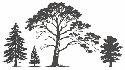 Obraz premium Set Variations of Vector Trees Icon
