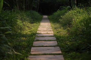 Empty path winding through vibrant forest, representing pursuit of dreams, illuminated by gentle rays of sunlight.