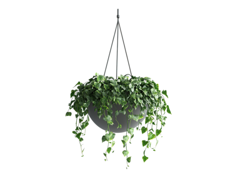 elegant hanging planter