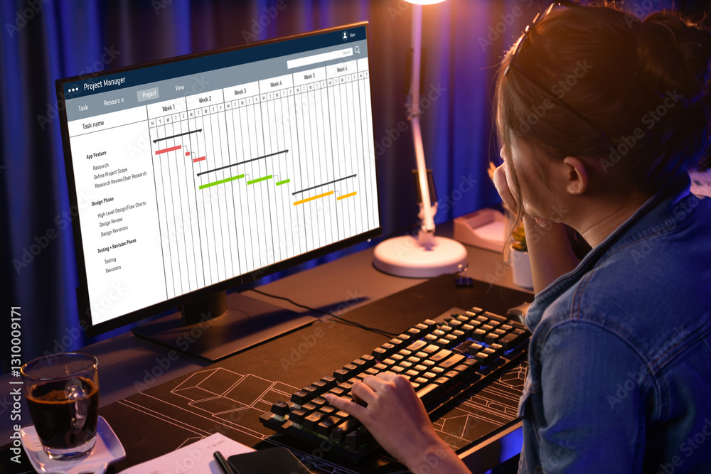 Poster project planning software for brisk business project management on the computer screen showing timel