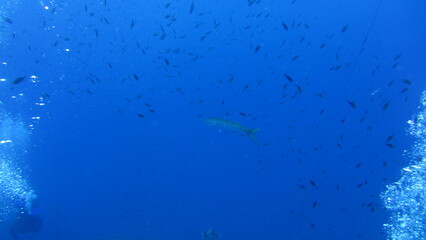 blue water background