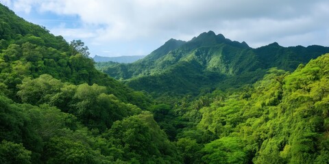 A lush green forest with a mountain range in the background. The sky is clear and the sun is shining, creating a serene and peaceful atmosphere