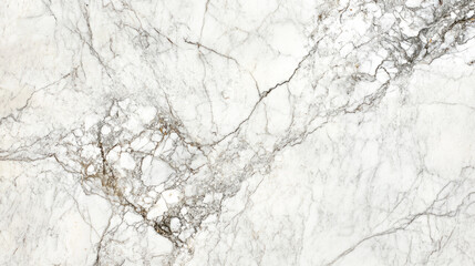 Fototapeta premium White marble slab with intricate gray veining patterns and natural texture