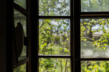 Fototapeta premium dettaglio di una vecchia finestra con alcuni vetri rotti dall'interno di una stanza e una vista su una folta vegetazione all'esterno