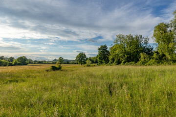bellissimo ambiente naturale di campagna vicino a Gorizia,  nell'Italia nord-orientale, con grandi campi e boschi verdi, di giorno, in estate