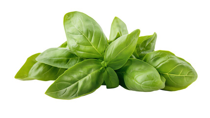 Fototapeta premium basil vegetable isolated on white background , transparent png 