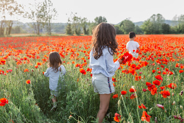 rear view of group of three children walking in a poppy field