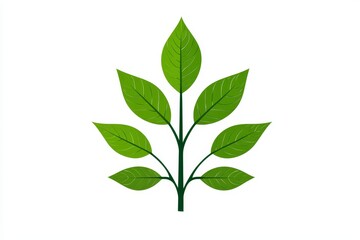 Obraz premium Green Leaves Branch Illustration - A vibrant illustration of a green branch with multiple leaves, showcasing a simple and clean design