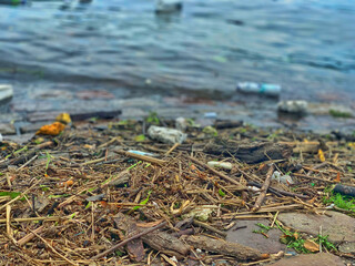 polluted coast in Europe