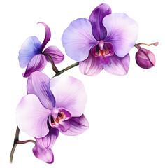 Purple Orchid flower watercolor illustration. Generative AI