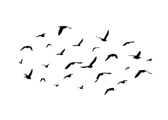 Flying birds silhouette flock. hand drawing. Not AI. Vector illustration.
