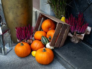 Pumpkins spilling out of a wooden crate on a doorstep with assorted plants and ornaments for Halloween