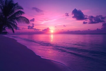 A sunset sky glowing with vibrant pink and orange hues, framed by the silhouette of a palm tree