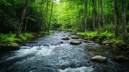 Tranquil river flowing in lush forest