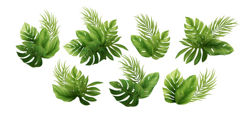 Vector Illustration of Tropical Green Leaves Arrangement on White Background Featuring Exotic Palms and Monstera Leaves for Natural and Summer Themes