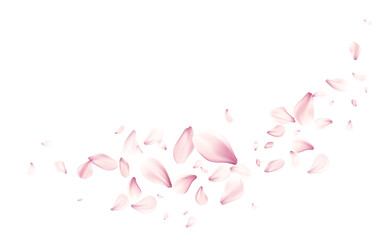 Vector Illustration of Pink Rose Petals Floating Gracefully on a White Background for Elegant Designs
