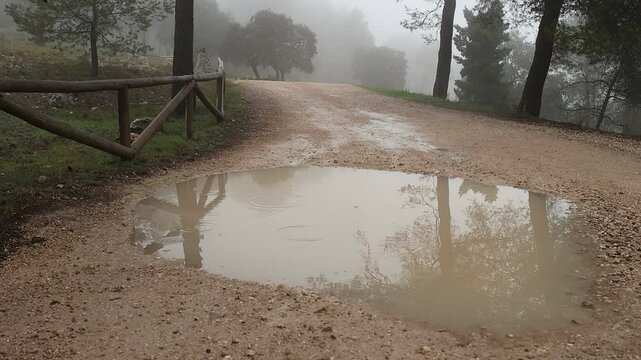 Ll&uacute;via ligera sobre un charco del camino de acceso a la zona recreativa del paraje natural San Antonio, Alcoy, Espa&ntilde;a