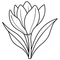 Serene Lotus Flower Blooming on Tranquil Water Surface at Dusk