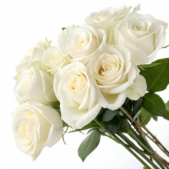 Elegant Bouquet of Cream Roses Pure Love and Beauty a Romantic Gift