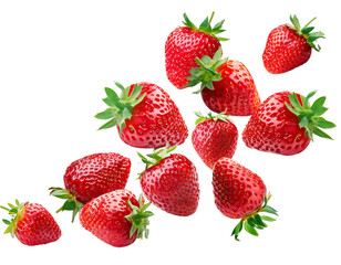Fresh strawberries falling on transparent background