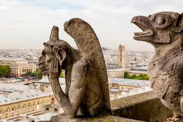Gargoyle on the Cathedral of Notre Dame in Paris