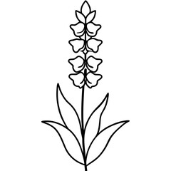 Elegant floral illustration featuring a vertical arrangement of blossoms