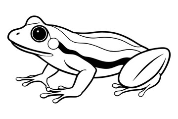 frog silhouette line art vector illustration with a white background