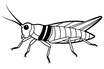 grasshopper silhouette line art vector illustration with a white background