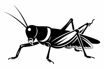 grasshopper silhouette line art vector illustration with a white background