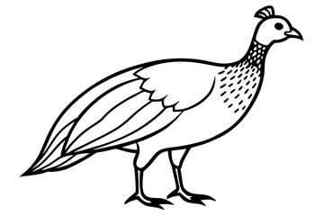 guineafowl silhouette line art vector illustration with a white background