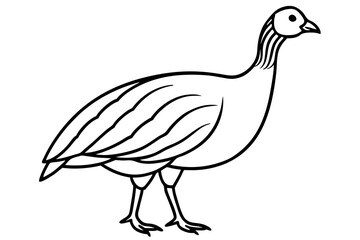 guineafowl silhouette line art vector illustration with a white background