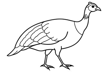 guineafowl silhouette line art vector illustration with a white background