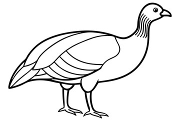 guineafowl silhouette line art vector illustration with a white background
