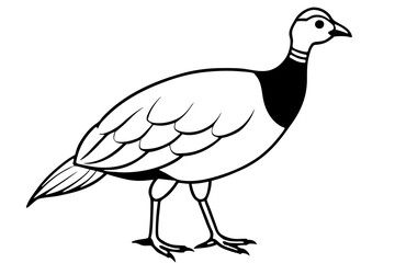 guineafowl silhouette line art vector illustration with a white background