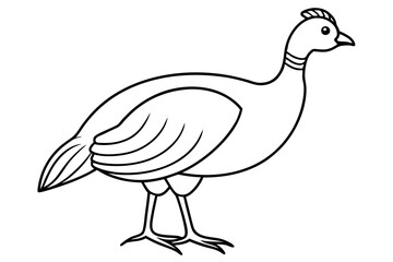 guineafowl silhouette line art vector illustration with a white background