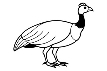Fototapeta premium guineafowl silhouette line art vector illustration with a white background