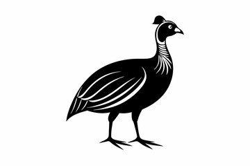 Fototapeta premium guineafowl silhouette line art vector illustration with a white background